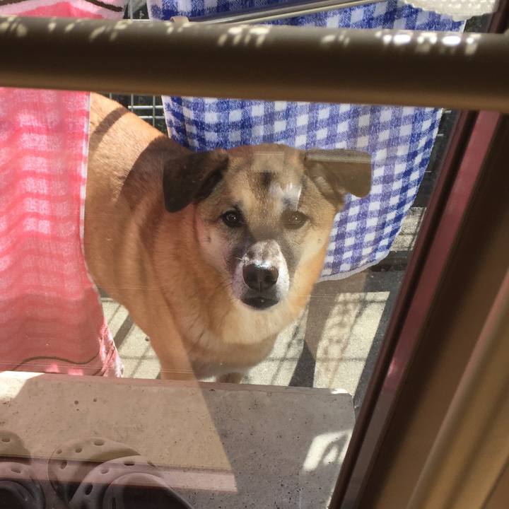 699b6ec3 5582 455d a1f9 4a695e30d9a7