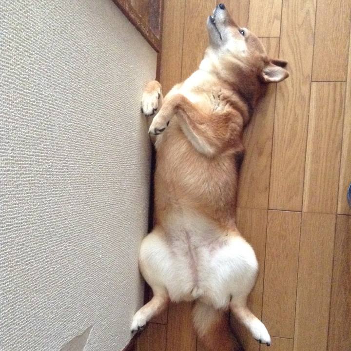 699bb705 17e1 4825 ba39 268706724424