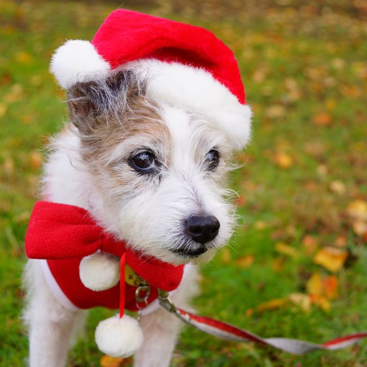 699c88b2 866b 4dc0 916b fd4e0187c975