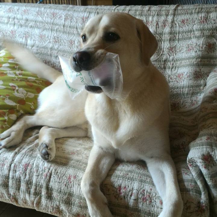 699d1b98 3033 4702 9e39 b5889a86b21c