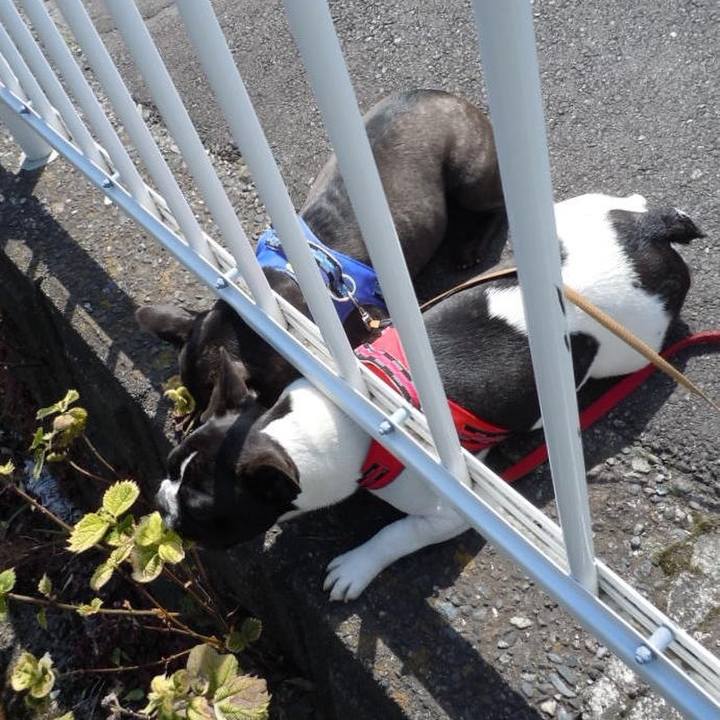 699d77cb b8fa 4fee b3cf 1b22f416392d