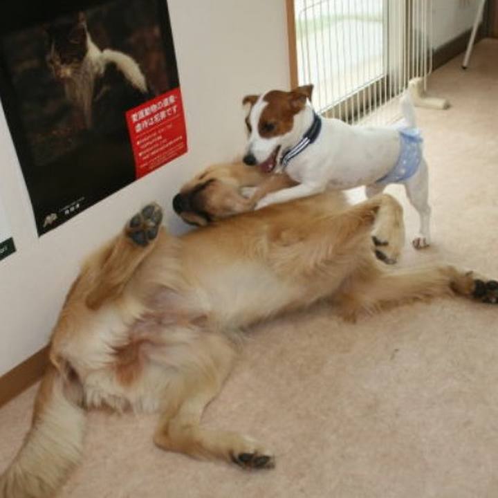 699d82eb 2bda 4ef3 9141 c37f68bb2bcb