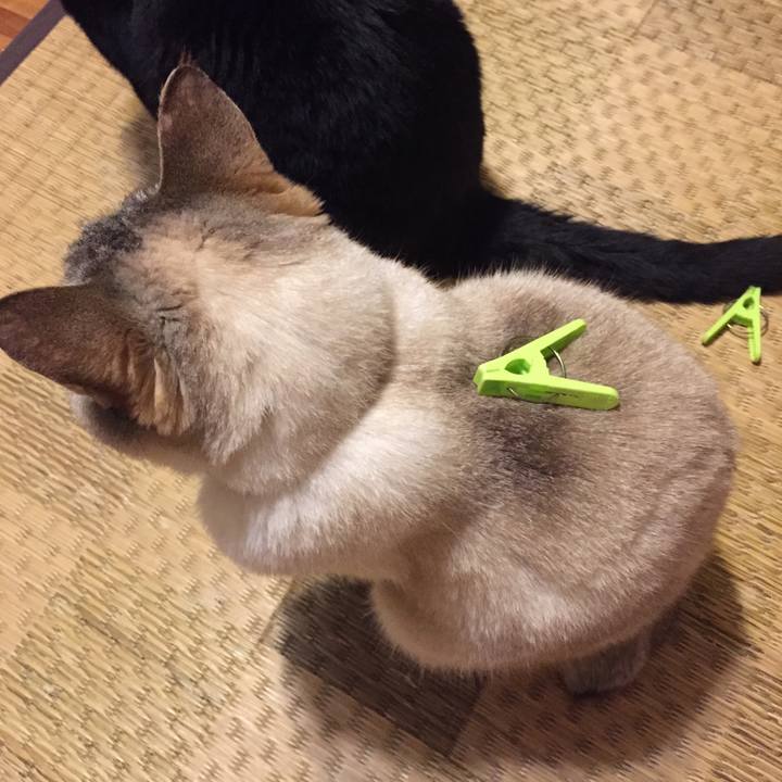 699d9f1b 2978 4b14 9b5b e92817f53a3d