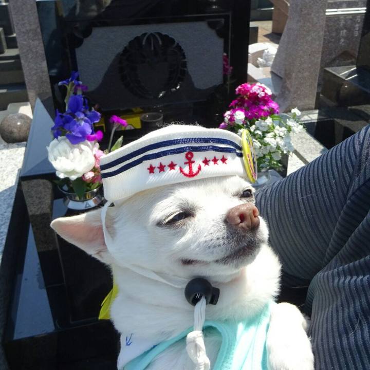 699df93b 779b 4713 91d5 3221baf0a8eb