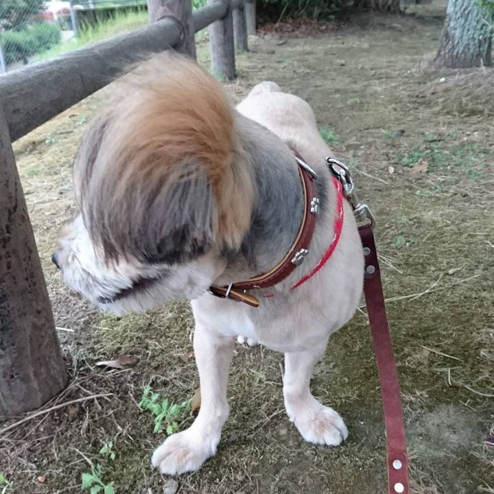 699eca8f 7700 48eb ae77 b2563e04ba14