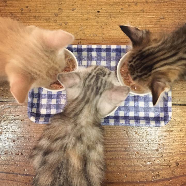 699f3e6d 64ce 467f 9463 5f4b9fb4a947