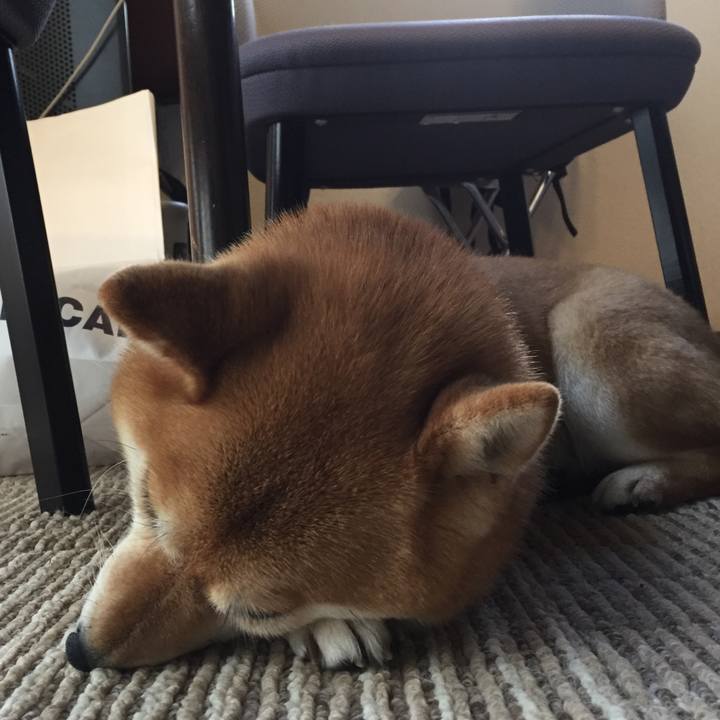 69a02a21 0f7d 470d 8ea1 54b0ef311026