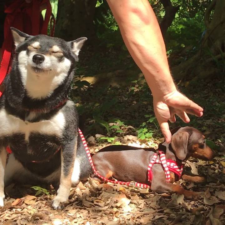 69a02bbd dbdd 4a3d 8aee b0b2f8bef1cc