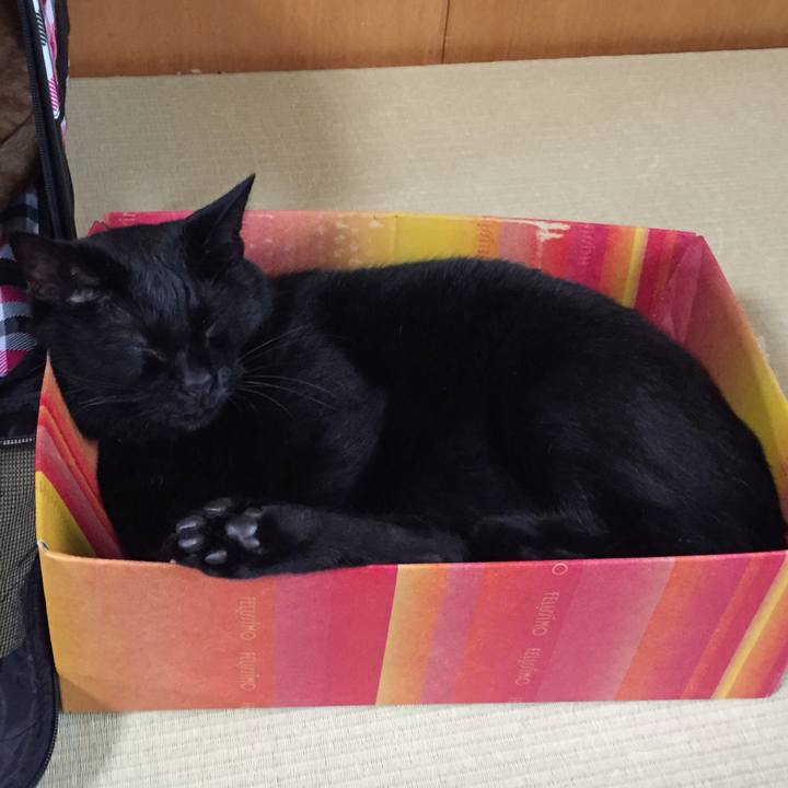 69a046b0 162b 496b 9747 f11da24507a3