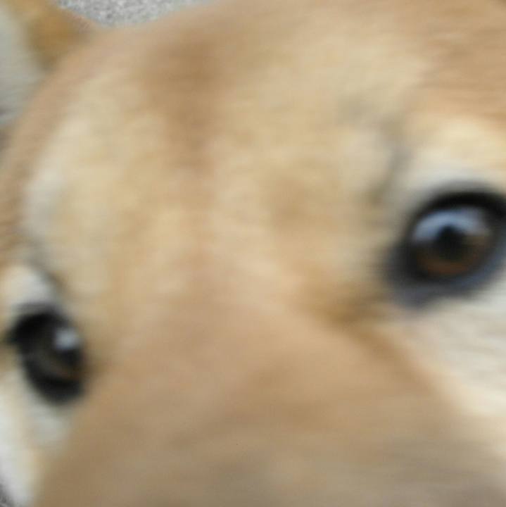 69a0bfba c680 4396 8cc4 2f768ddf6651