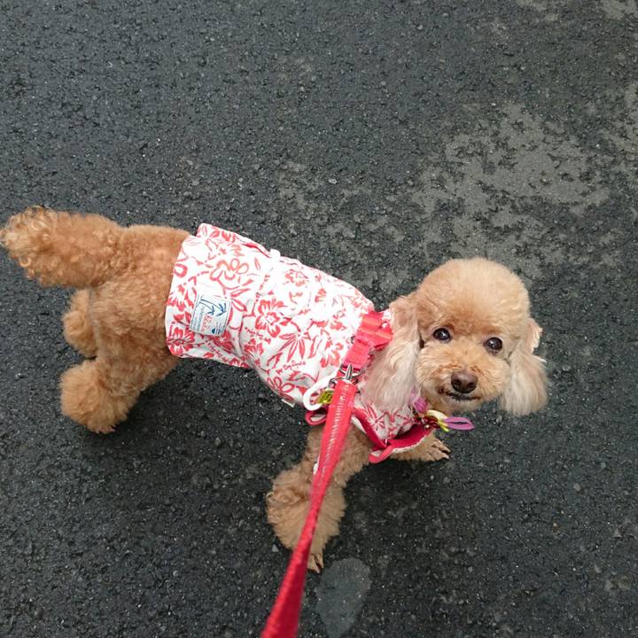 69a0c221 3de7 4d96 bc88 78ed4a402e06