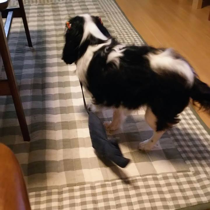 69a103a7 ff60 4845 91d3 95079079bb17