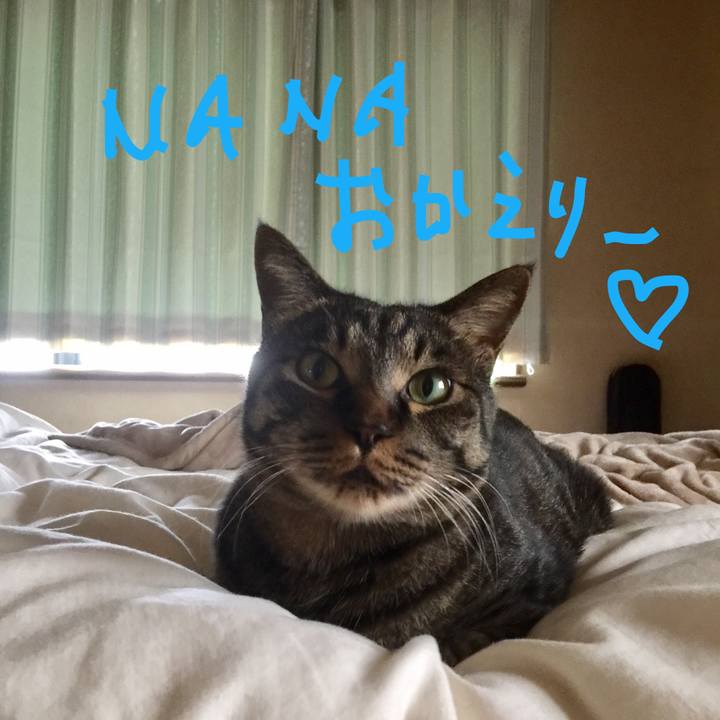 69a10c3b 9d06 4fce 8381 6f847b780170