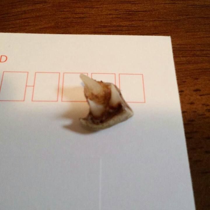 69a14977 457b 4f3e ba60 a672390443de