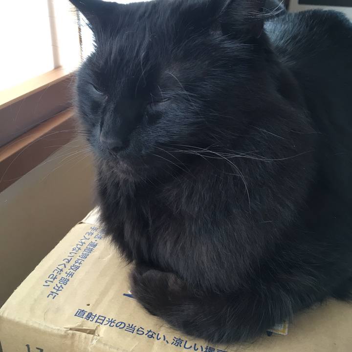 69a18aaf 21a3 45cd 99d2 1e309ee5dcd2