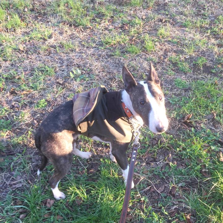 69a1a72d 963e 4e9c 822b 8e1f8c6dfb71