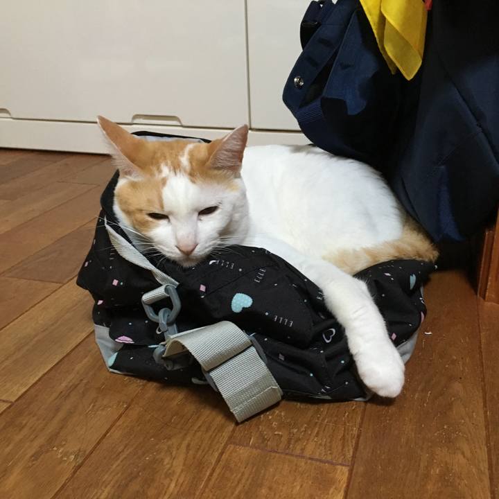 69a22301 8667 4c90 b6de d4ba8719b0ff