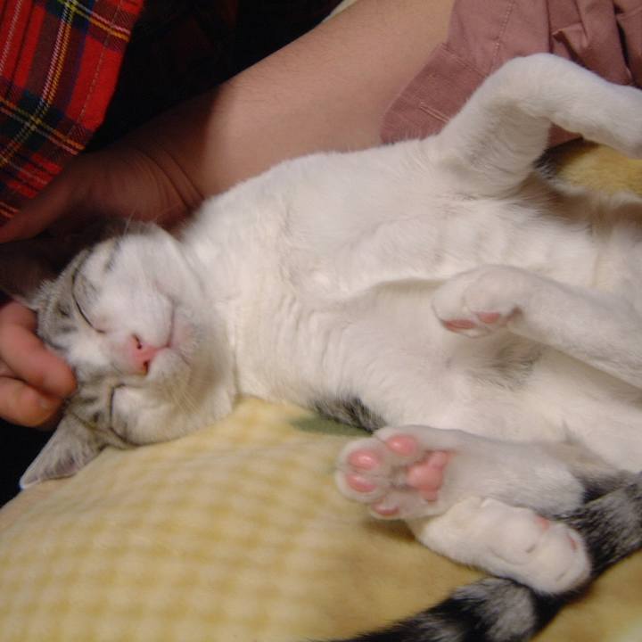 69a2326b 8e69 44cb bb25 eab43b6a860c