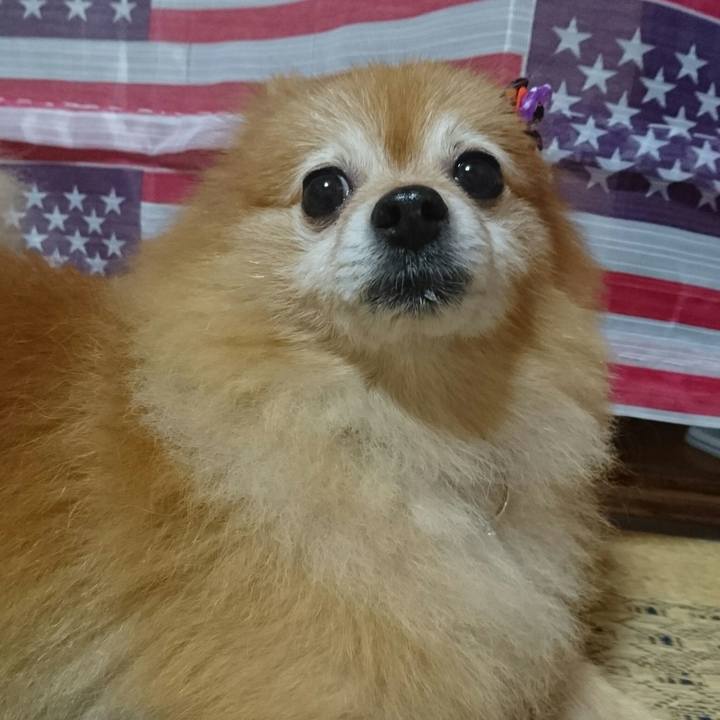 69a2a24d a08e 48cc 9535 de426db1f033