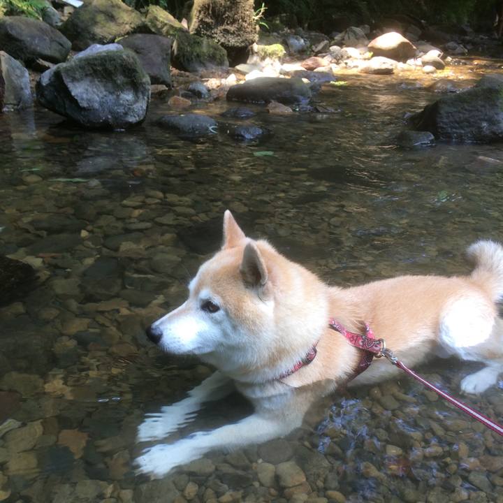 69a36a86 85b3 4f84 bf12 cee4e211bceb