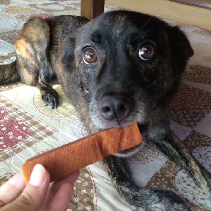 69a40db3 5928 4991 8df2 428ba36020f0