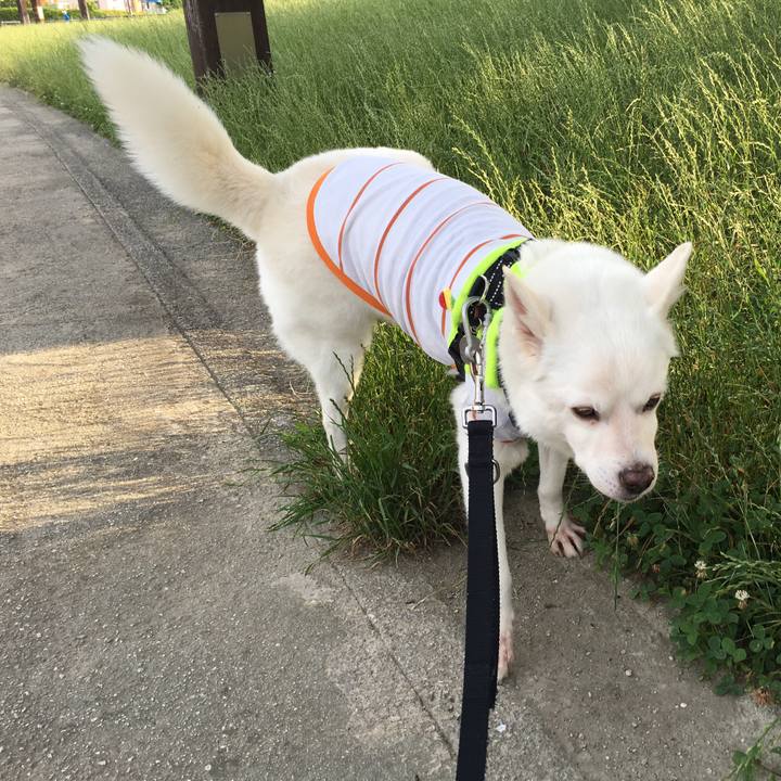 69a49722 e8a3 47e6 9438 1a0ad88a43ec