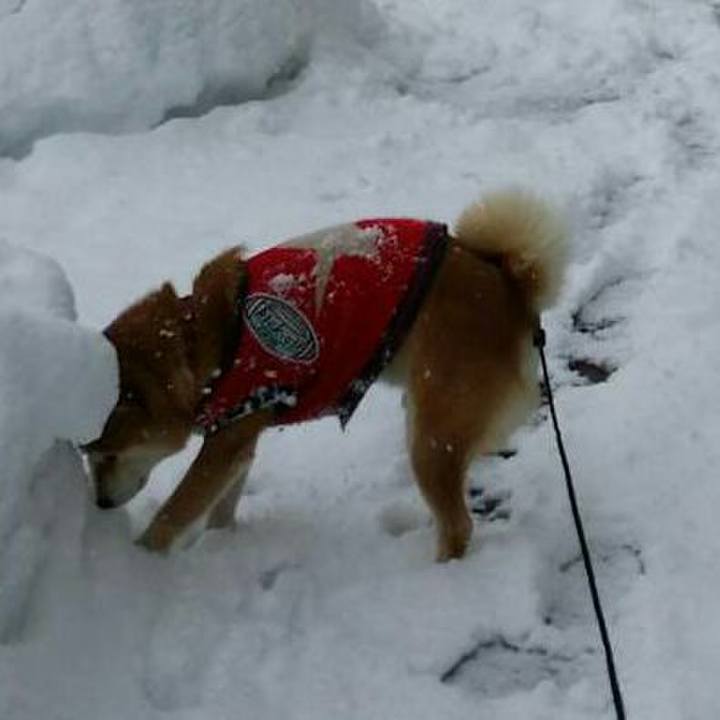 69a5b8a1 7c90 4c5f b23f a4708e7d1ee5