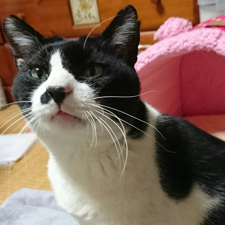 69a5d805 e2ef 43ec 8d0f beb83f15dbef