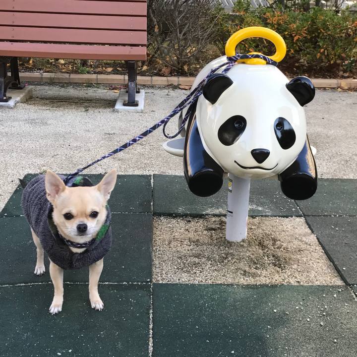 69a69aae 31c8 4dbd a259 050cadfe25e7