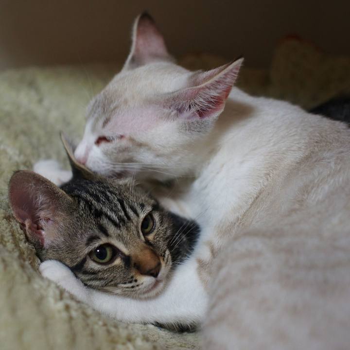 69a763c6 a6a9 410d aaef 4b5c2d9550a2