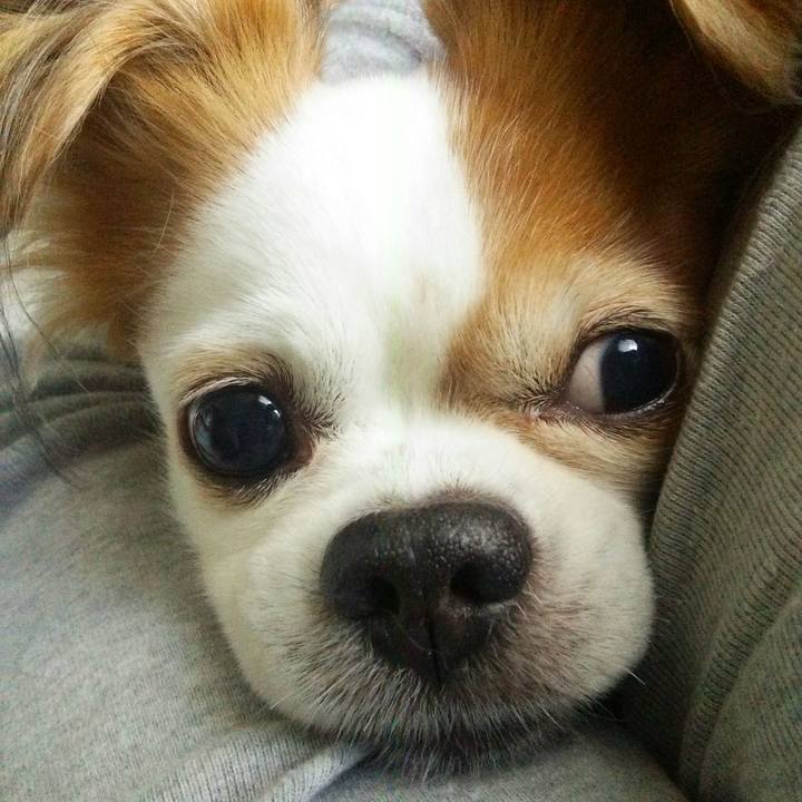 69a7a700 9e7b 4394 87c4 64f875efe436