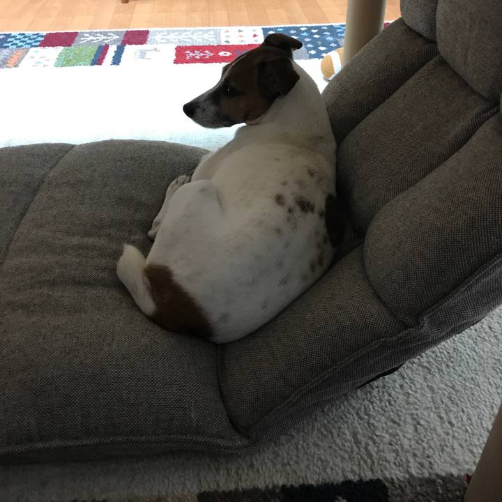 69a7dc0a 4699 491b 97f9 772d77ba4a39