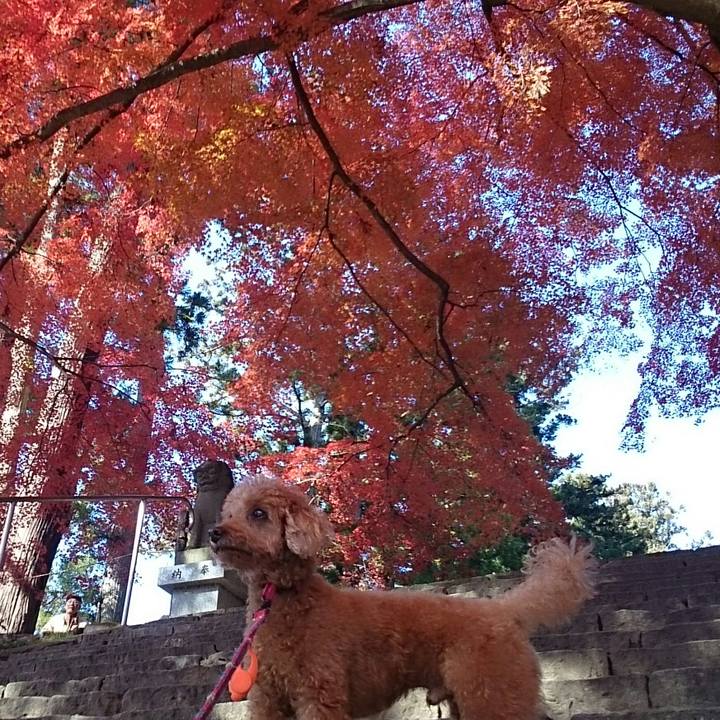 69a7eb83 73bb 4ab2 99ca c50264bd89c2