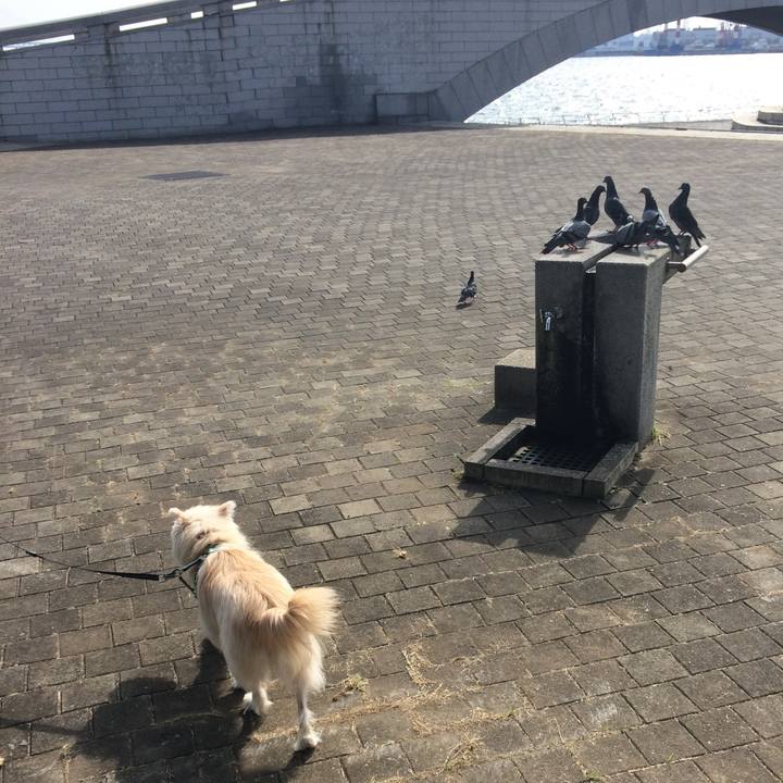 69a88d75 b219 43d4 a3dc 8c8effac572e