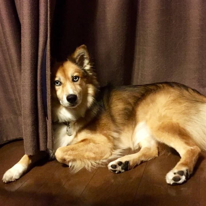 69a8989f 7343 44d5 ad30 8378cc5ae60f