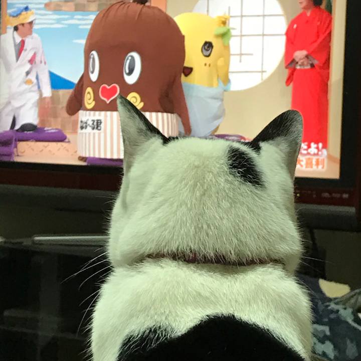 69aa4c2a df79 47dd 9e0e fb1de90eee2d