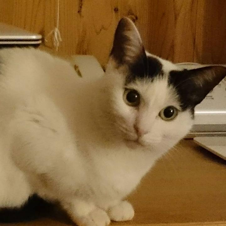 69aa64f4 3193 475b 80ef 2e23bfad61f8