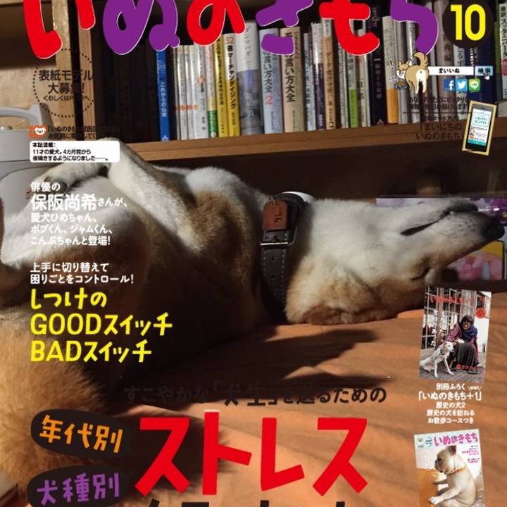 69aa79e6 c1ac 4462 9053 c9174bb2f1ac