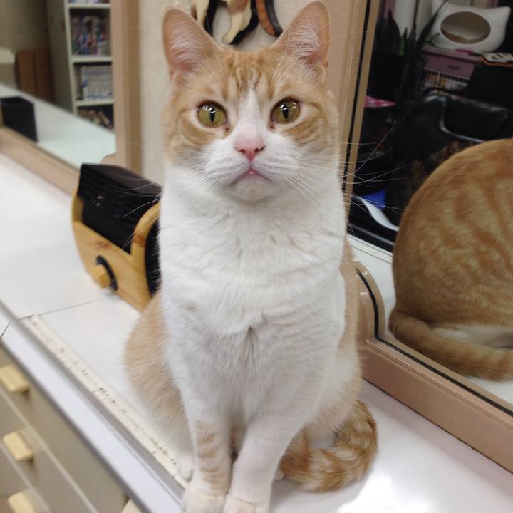 69aaebfa 2614 4172 94a2 f769d16eccce