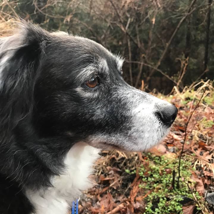 69aba3a8 4612 4ccc 910f e4d221d4a9aa