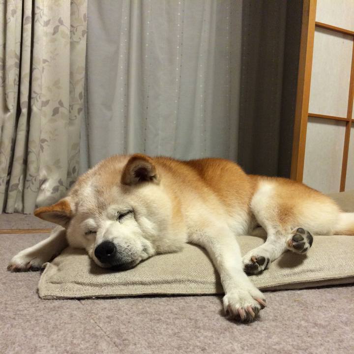 69aba486 1d85 40a3 9e57 2d74854b5f60