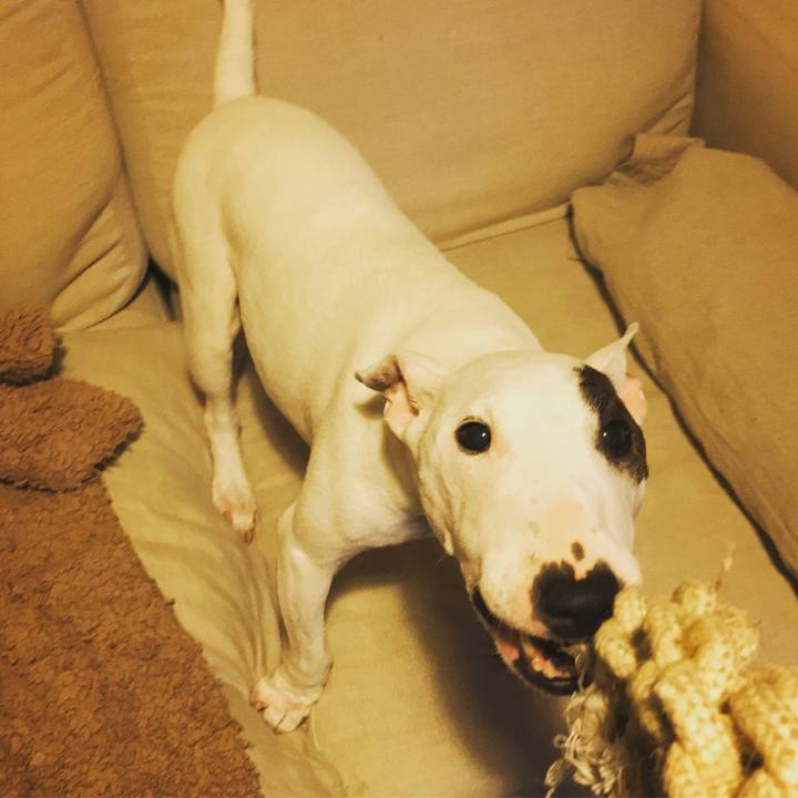 69aba5c5 63d4 46dc acd9 9f9da8ae2755