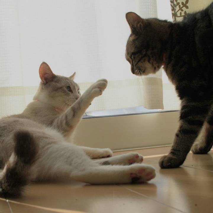 69abe717 a897 420a a5e2 28b9efc57f93