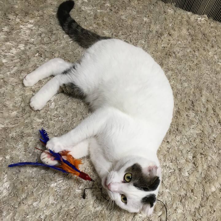 69ac660f b7d2 4a71 9df7 0719bd33b13b