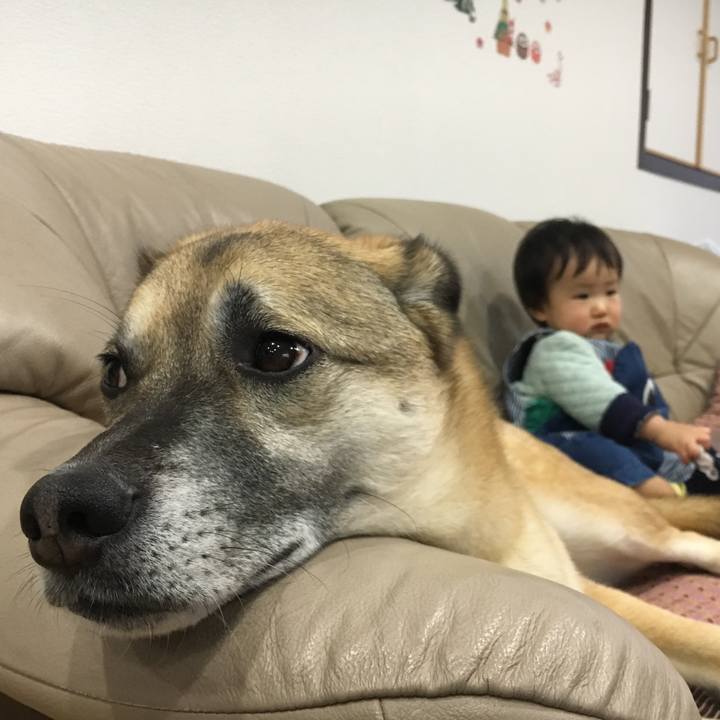 69ac8a72 f616 48c6 9007 33fbe3ca40e8