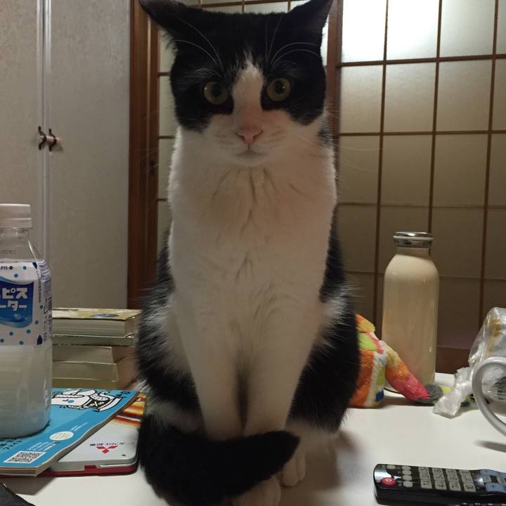 69ace867 48c1 4342 8241 7babc003f193