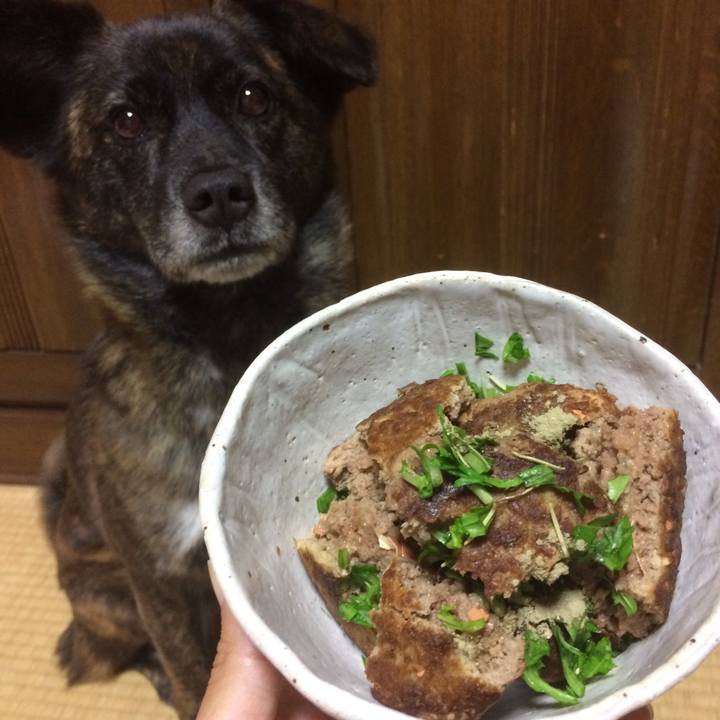 69adbe05 027c 4964 9993 2f78055f12b7