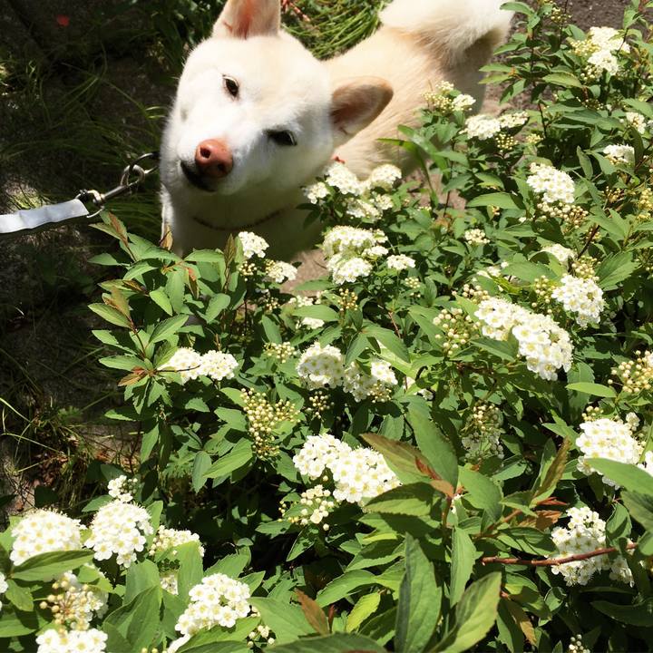 69ae4a42 46db 4947 9c85 60a22fb69bf3