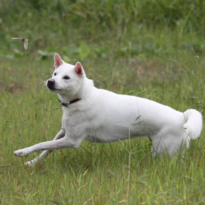 69ae8030 b909 48d4 abe8 5f4967bdc466