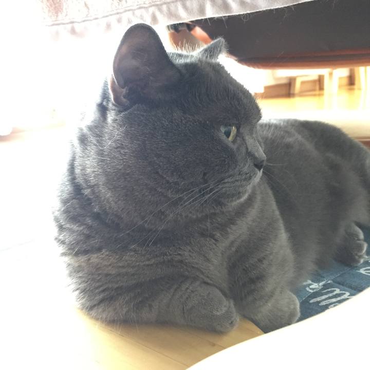 69aefad4 a383 4fce b3b2 ec4a7873fa3b